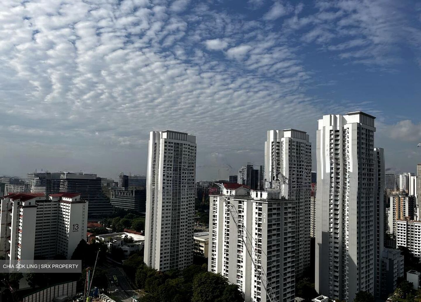 One Holland Village Residences (D10), Apartment #501317351